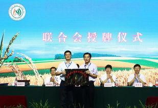 徐州新农人爆料新闻最新,揭秘农村发展新动向